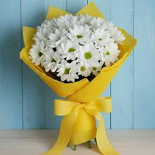 Букет цветов из:  Хризантемы в Черемушках Курской области