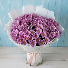Букет цветов из:  Хризантемы в Черемушках Курской области