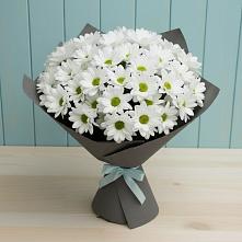 Букет цветов из:  Хризантемы #REPLACE_PRED# Черемушках Курской области