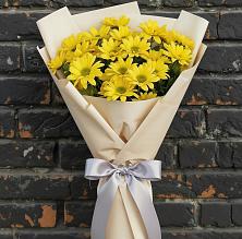 Букет цветов из:  Хризантемы в Черемушках Курской области