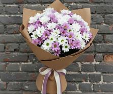 Букет цветов из:  Хризантемы в Черемушках Курской области