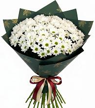 Букет цветов из:  Хризантемы в Черемушках Курской области