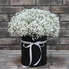 Цветочная композиция из Гипсофила в шляпной коробке в Черемушках Курской области