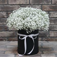 Цветочная композиция из Гипсофила в шляпной коробке в Черемушках Курской области