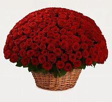 Премиум букет из: Розы в Черемушках Курской области