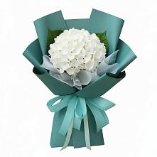 Букет цветов из:  Гортензия в Черемушках Курской области